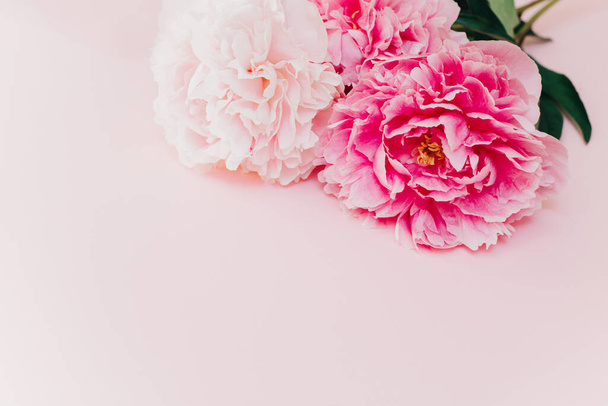 Beautiful pink peonies on a pink pastel background. Place for text. Flat lay. - Foto, Imagem