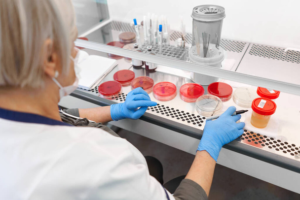 Costas de uma técnica de laboratório organizando amostras de cultivo celular em um hospital - Foto, Imagem