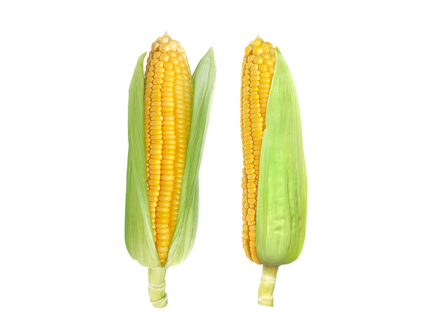 Corn isolated on white background - Foto, afbeelding
