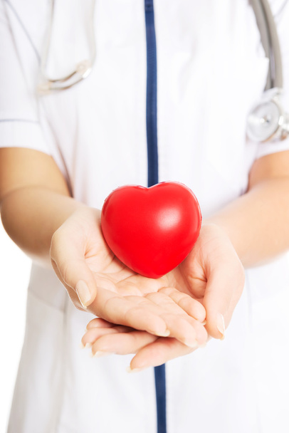Close up female doctor holding heart model - Φωτογραφία, εικόνα