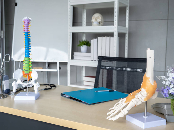 Skeletal model of the ankle and ligaments on orthopedic doctor table with spine model, equipment and tools in office. Vision scientific human anatomy and bones. Science, physical, medical concept. - Фото, изображение