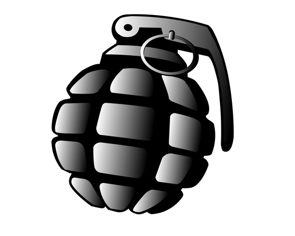 Grenade - Vector, Image