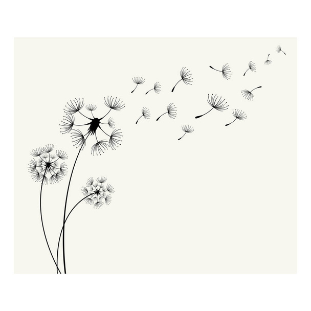The Flying dandelion seeds scattered silhouettes isolated on a white background - Вектор,изображение
