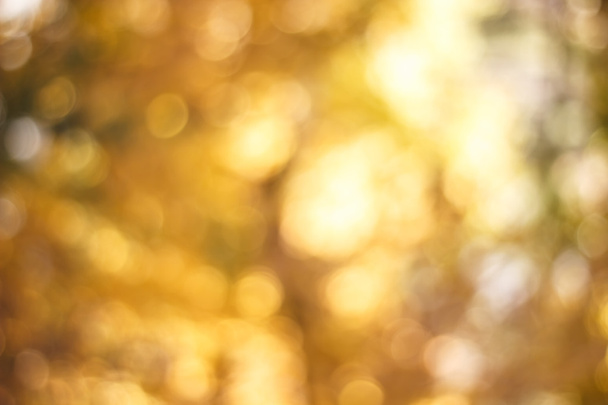 Soft blurred Yellow background. - Zdjęcie, obraz