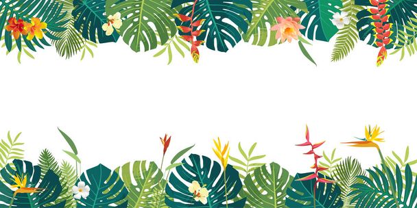Balinese Polinesian Summer beautiful jungle exotic leaves long horizontal copyspace banner. Botanical summer hibiscus, heliconia, bird of paradise, plumeria flowers. Monstera, tropical plants - Vektör, Görsel
