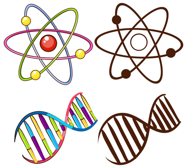 Estructuras de ADN - Vector, imagen