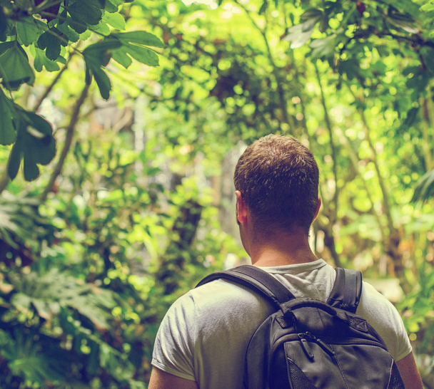 Tourist with backpack in the jungle. Vintage effect. Space for your text. - Foto, immagini