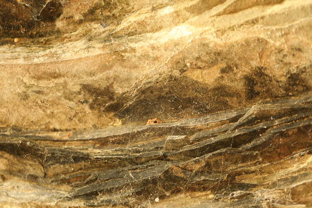 Nyers kő textúra közelkép - Fotó, kép