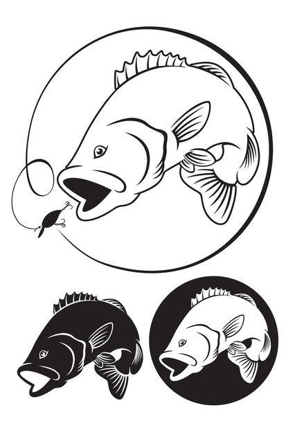Fish bass drawing - Vector, Image