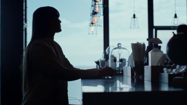 Lonely woman silhouette at sea view bar closeup. Unrecognized depressed businesswoman drinks alone at panoramic windows hotel. Stressed unknown ceo director sitting in dark restaurant interior  - 映像、動画