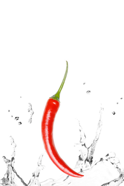Fresh Chili - Фото, зображення