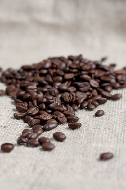 Coffee beans - Фото, зображення