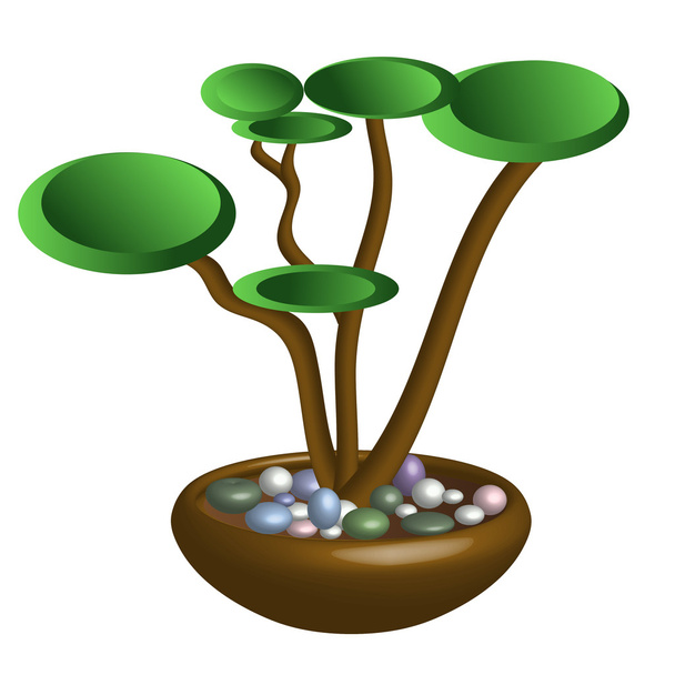 Afbeelding van een bonsai. - Vector, afbeelding