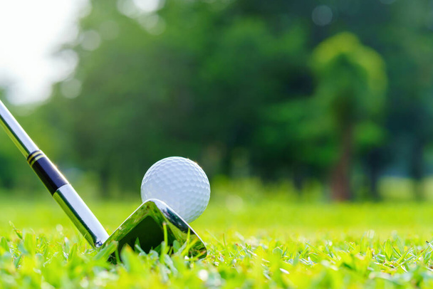 Golflabda a zöld füvön készen áll, hogy lecsapjanak a golfpályán. - Fotó, kép