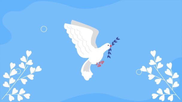 peace dove bird flying animation ,4k video animated - Video, Çekim