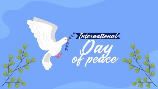 international day of peace lettering with dove ,4k video animated - Metraje, vídeo