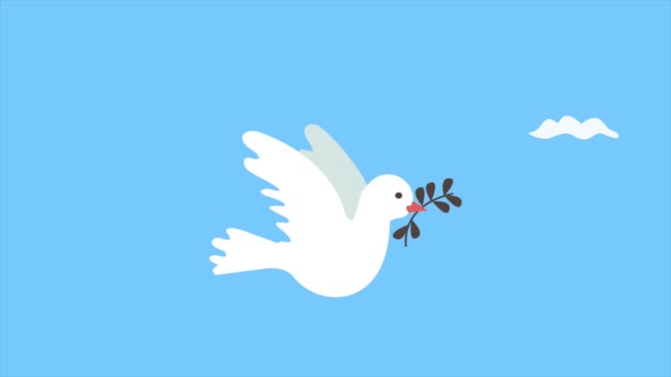vrede duif vliegen met tak animatie, 4k video geanimeerd - Video
