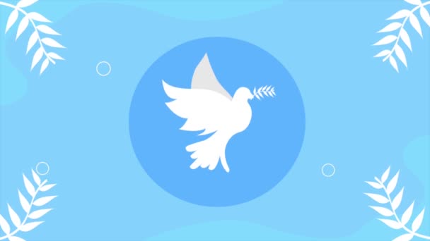 vrede duif vliegen silhouet animatie, 4k video geanimeerd - Video
