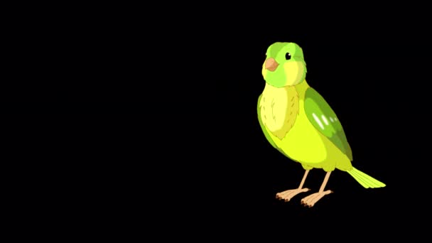 Green canary flies and pecks. Handmade animated looped 4K footage isolated on alpha channel - Filmagem, Vídeo