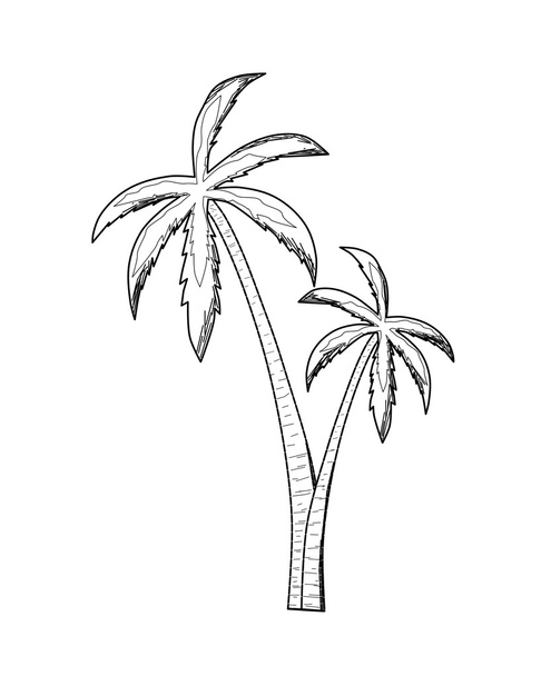 palma - Vektor, obrázek