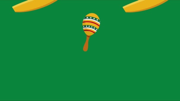 mexican maracas and hats pattern ,4k video animated - 映像、動画