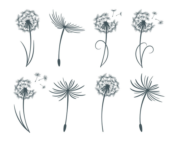 Set of drawn dandelions with flying fluff. Line art. Floral templates, print, icons, vector - Vektör, Görsel