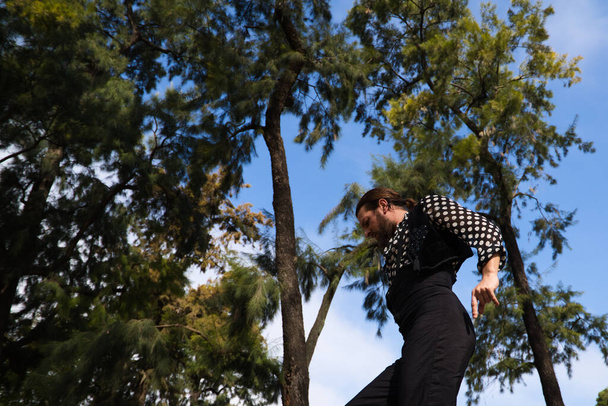 hombre gitano con el pelo largo bailando flamenco en un escenario al aire libre en un parque en Sevilla y que está haciendo diferentes posturas con mucha pasión. Concepto de baile flamenco patrimonio cultural de la humanidad. - Foto, imagen