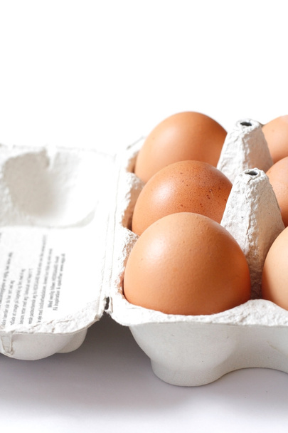 Eggs - Foto, Bild