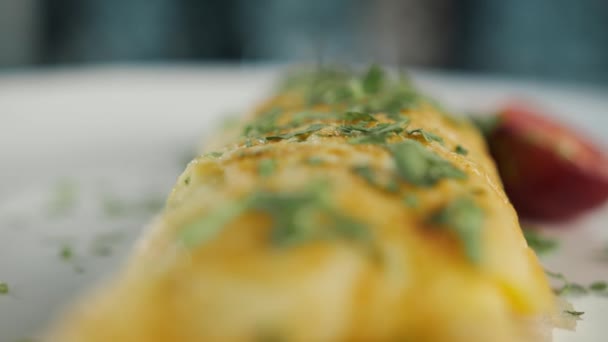 Close-up: French omelette with herbs in professional kitchen - Materiaali, video