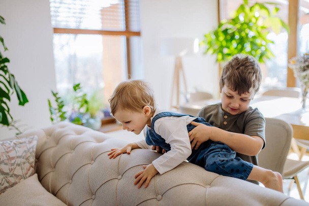 A little siblings playing in living room together. - Fotoğraf, Görsel
