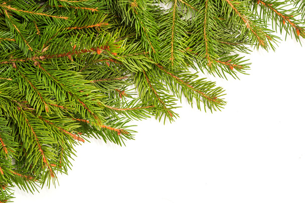 Christmas background. Eve framework - Фото, зображення