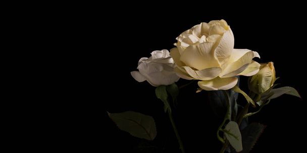 flores falsas o hermosas flores textiles sobre un fondo oscuro - Foto, imagen