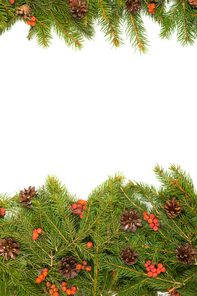 Christmas background. Eve framework - 写真・画像