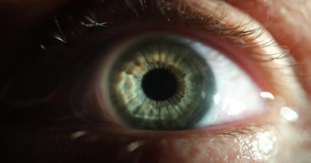 Closeup of green female eye with contact lens 4k movie. Vision correction concept - Footage, Video