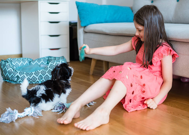 A little girl is playing with a Shih Tzu puppy. A girl of 8 years old in a pink dress sits on the floor in a room and plays with a puppy. - Фото, зображення