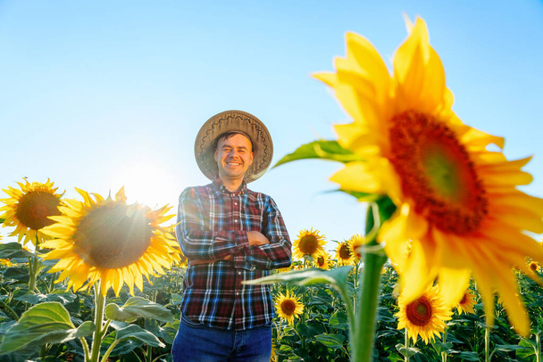 A young farmer looking at camera stands among sunflowers in a sunshine day and smiles. Man with arms crossed is situated on a field with sunflowers in a sunny day. Male and copy space. - Foto, immagini