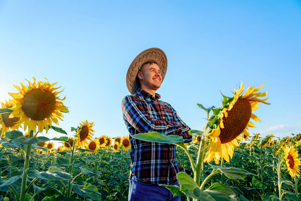 side view of Happy lucky young farmer with arms crossed stands in his field with sunflowers. Man smiles happy, it is a good sunny day. On the head is a hat, it protects from the scorching sun. - Zdjęcie, obraz