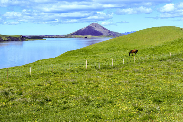 Rural landscape of lake Myvatn on Iceland - Foto, imagen