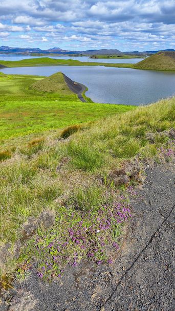 Venkovská krajina jezera Myvatn na Islandu - Fotografie, Obrázek