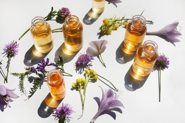 Selection of essential oils, with herbs and flowers on white background. Top view. - 写真・画像