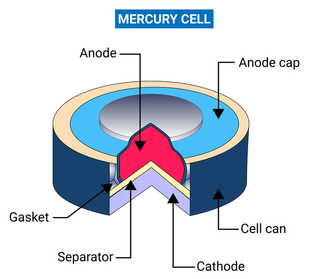The Mercury cell is a type of dry cell consisting of zinc anode, mercuric oxide cathode and potassium hydroxide as an electrolyte. - Vector, Image