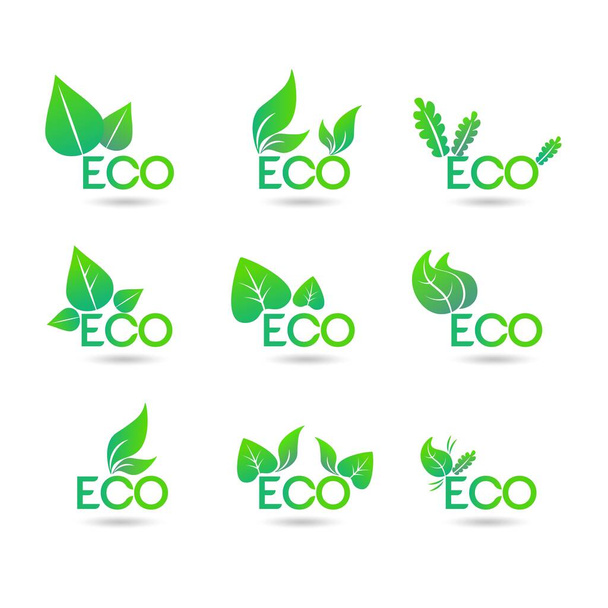 Ecology icon set concept. Eco-icons. Green leaf on white background - Wektor, obraz
