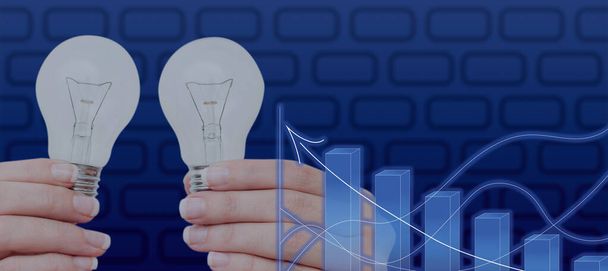 Woman Holding Light Bulbs By Digital Graphs Presenting New Ideas. - Photo, Image
