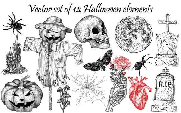  Conjunto vetorial de 14 elementos de Halloween em estilo gravura. Caveira linear gráfica, abóbora esculpida, espantalho, cogumelos, coração humano, lápides, mão esqueleto, teia de aranha, velas, aranhas, traça - Vetor, Imagem