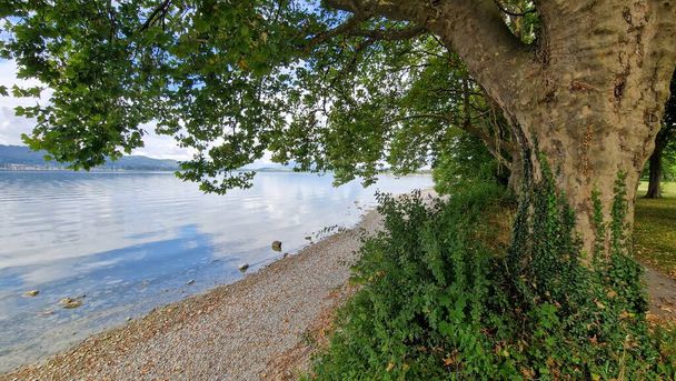 Lakefront peninsula of Mettnau on beautiful Lake Constance summertime  - Fotoğraf, Görsel