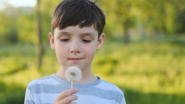 The boy blows on a dandelion. Dandelion seeds are flying. Summer evening walk with children. - Imágenes, Vídeo
