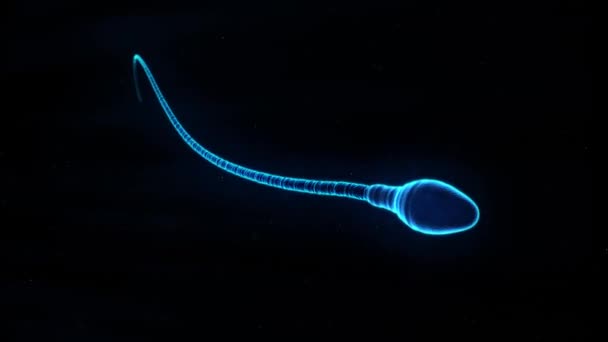 Komórka spermy izolowana w animacji 3D - Materiał filmowy, wideo