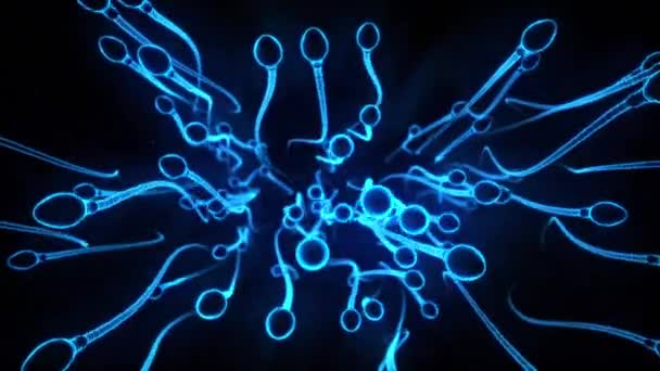Many Sperms Swimming in 3D - Filmagem, Vídeo