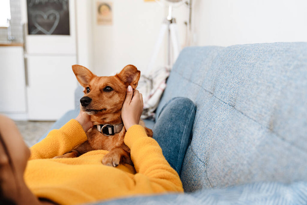 Young hispanic woman petting her dog while resting on couch at home - Photo, Image