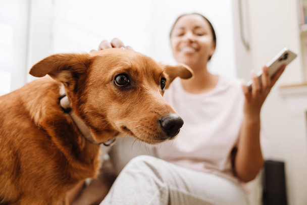 Young hispanic woman petting her dog while using mobile phone at home - Fotó, kép